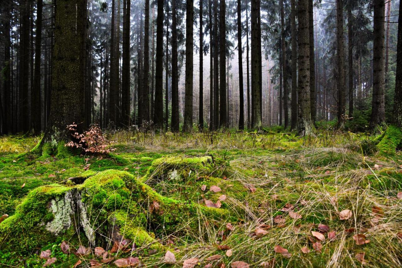 Hostinec a penzion U Rezků Jistebnice Esterno foto
